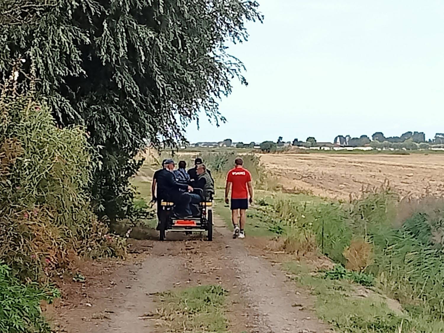 A la découverte des ânes à Warhem 