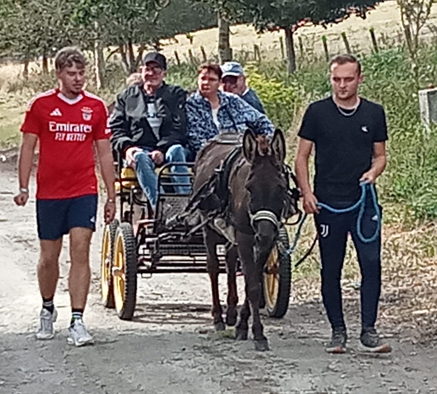 A la découverte des ânes à Warhem 