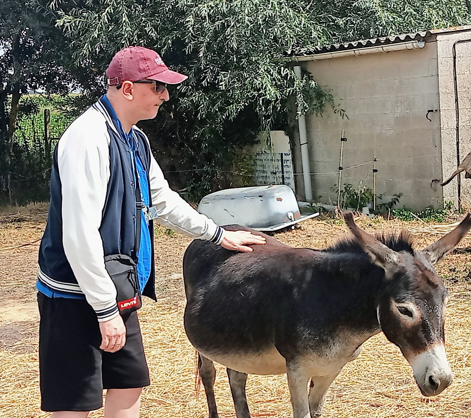 A la découverte des Ânes à Warhem 