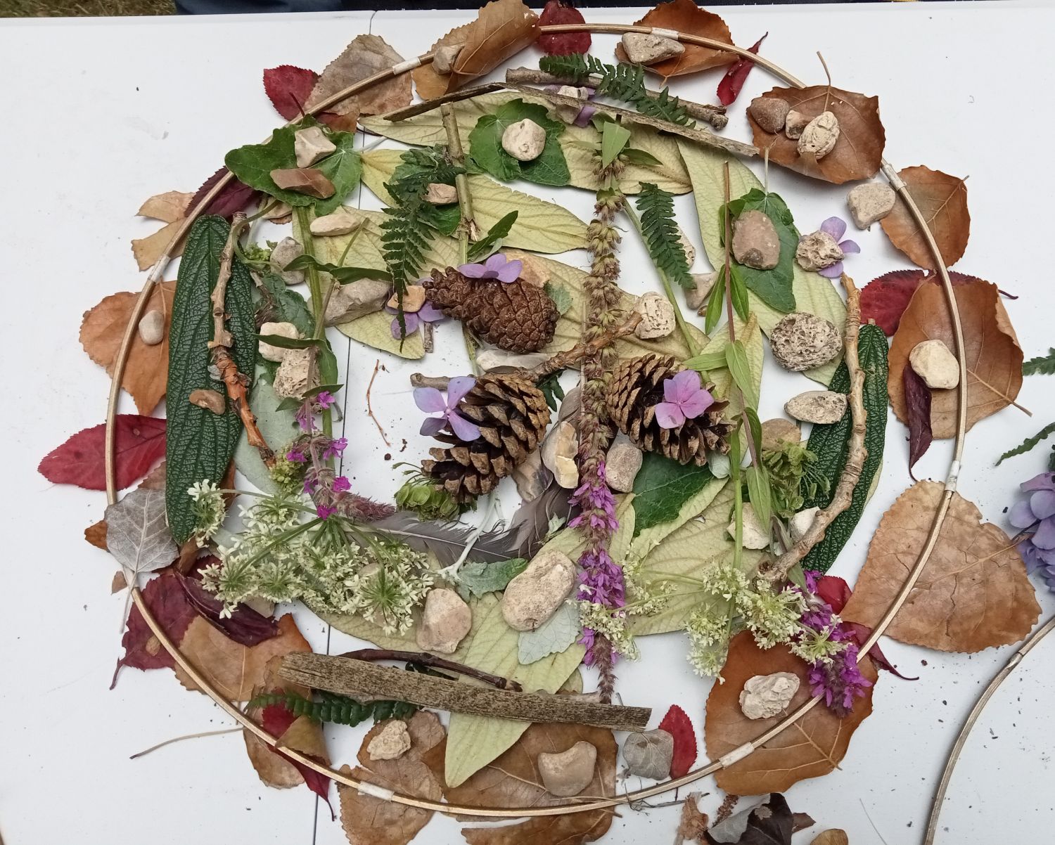 Land Art au Parc Ziegler  