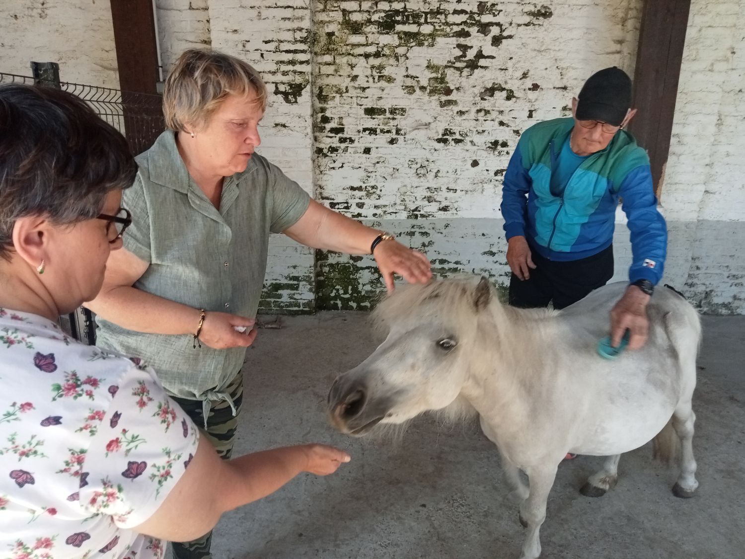 La petite fermette à Esquelbecq  