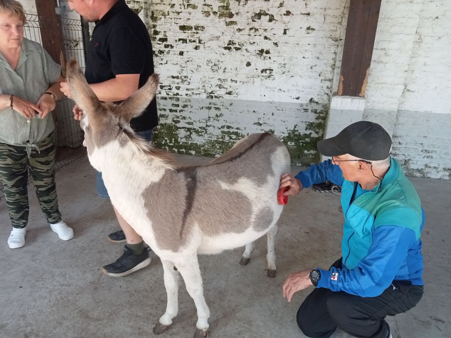 La petite fermette à Esquelbecq  