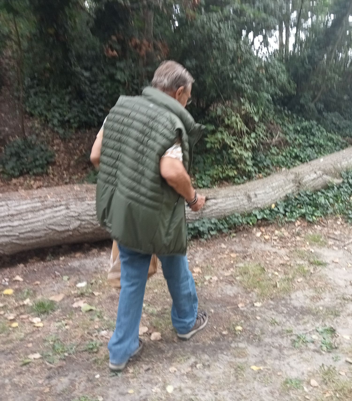 Land Art au Parc Ziegler  