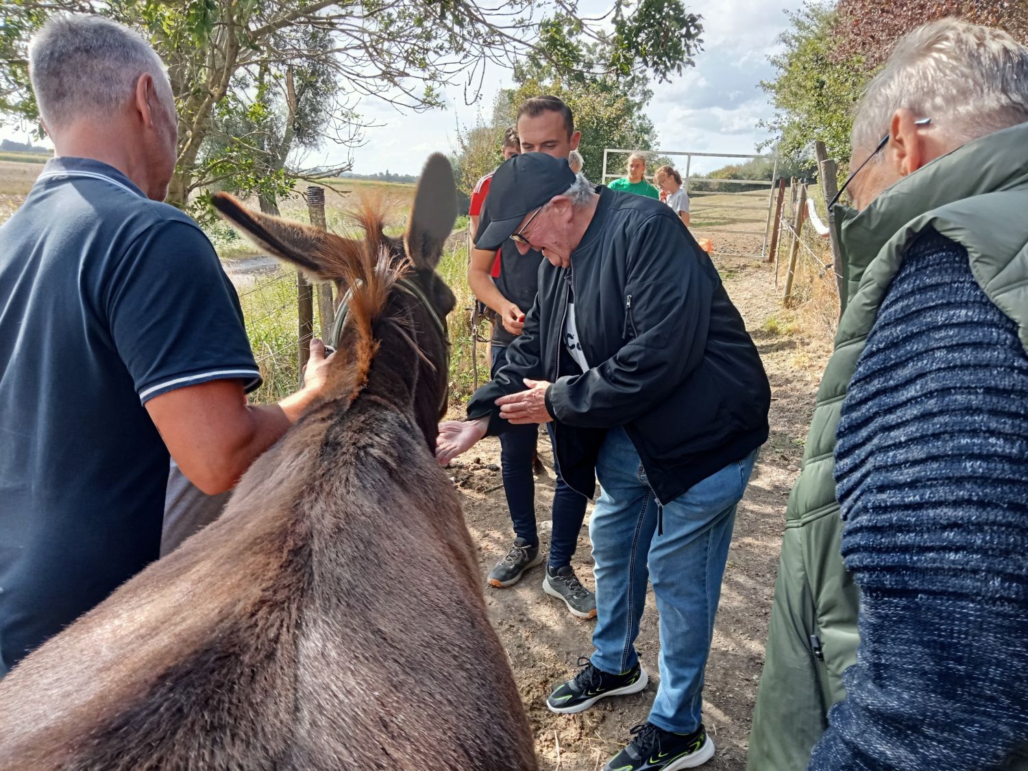 A la découverte des ânes à Warhem 