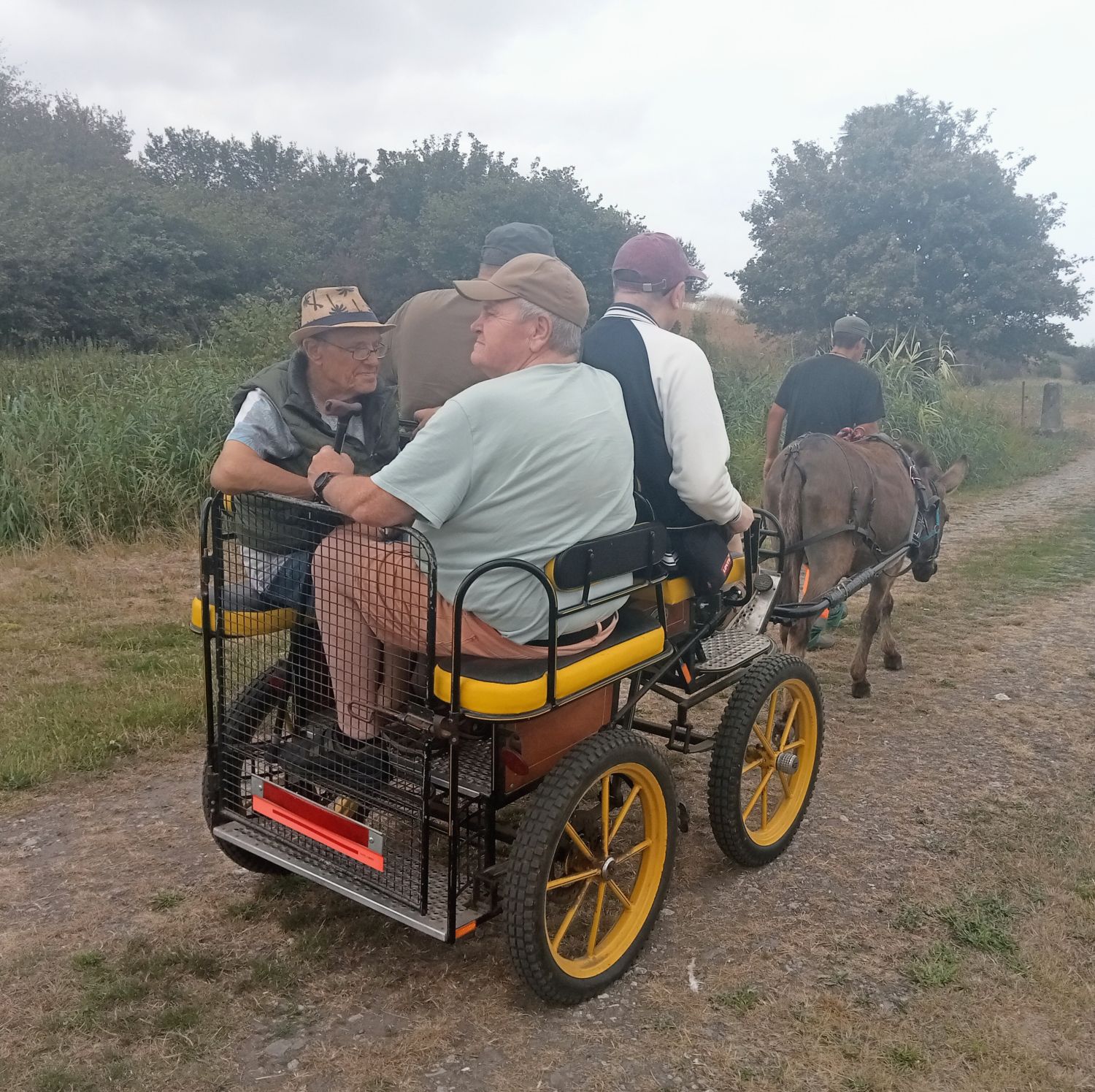 A la découverte des Ânes à Warhem 