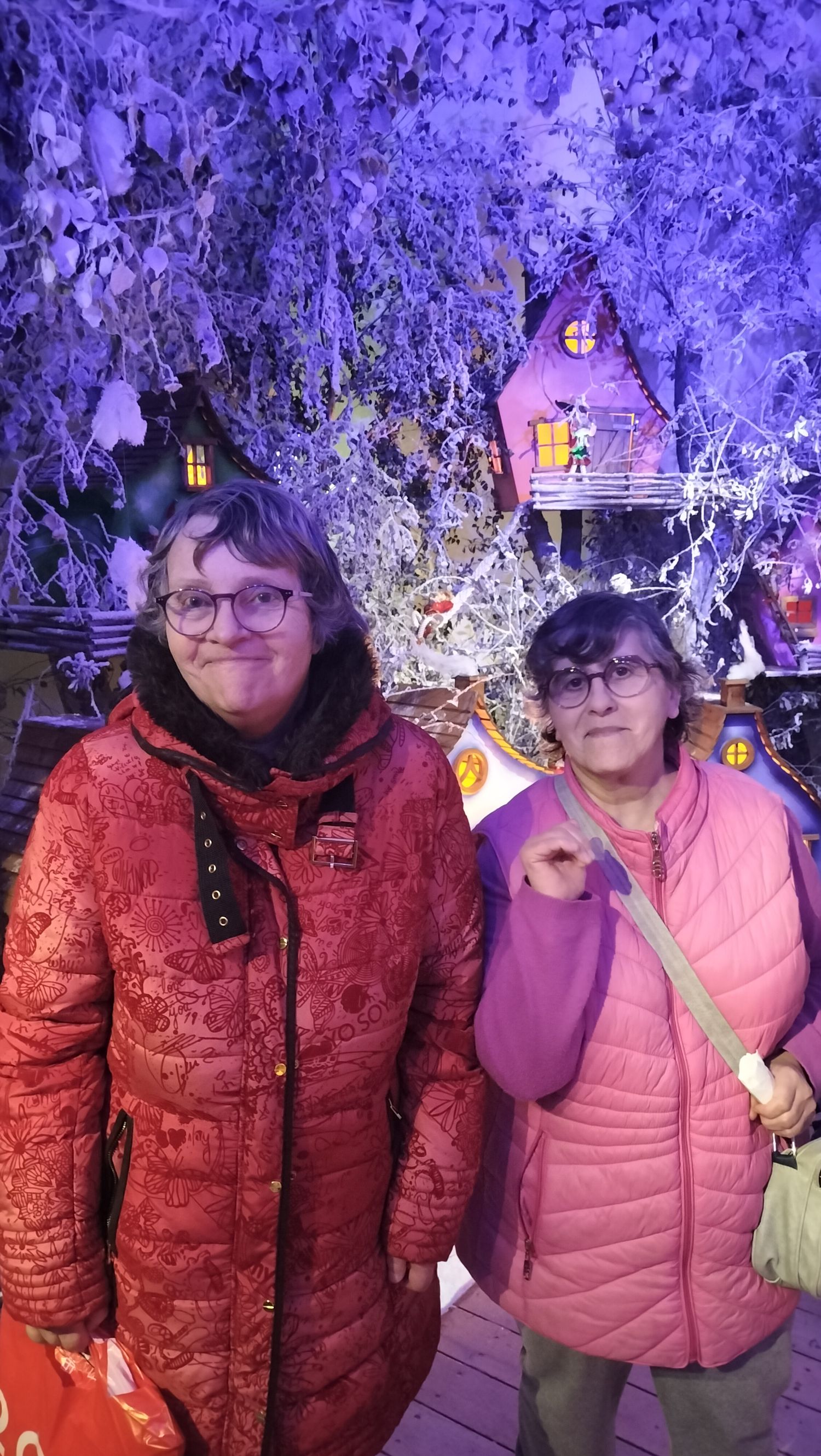 Sortie au château du père Noël et mâche de noel 