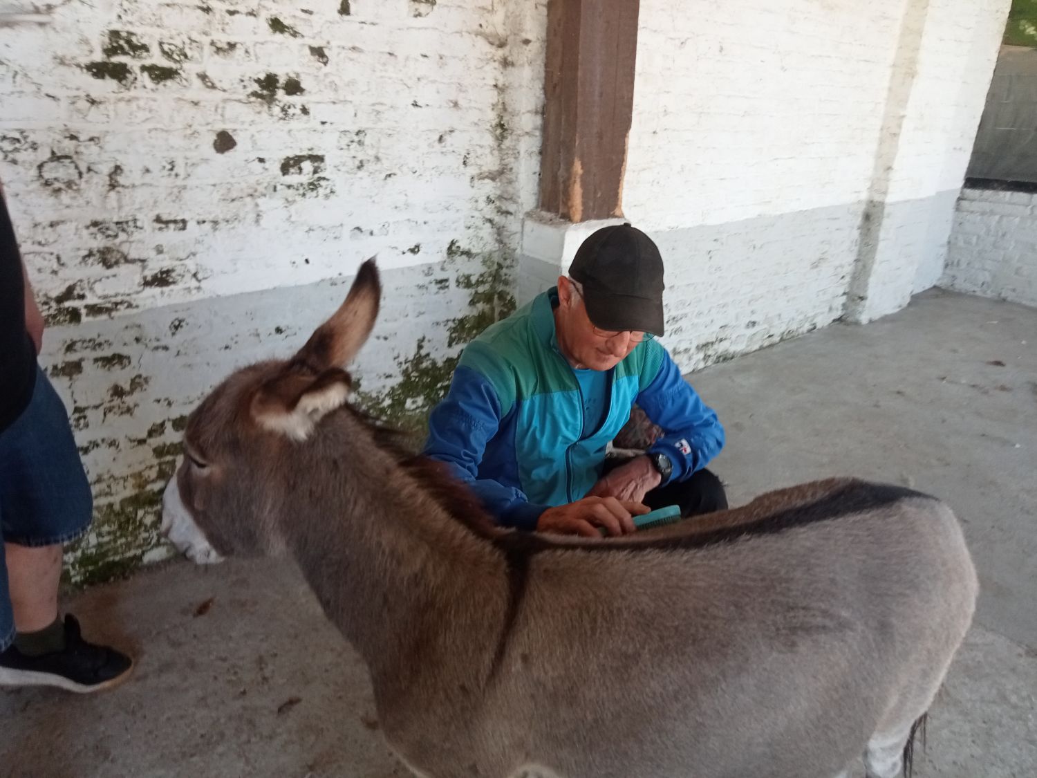La petite fermette à Esquelbecq  