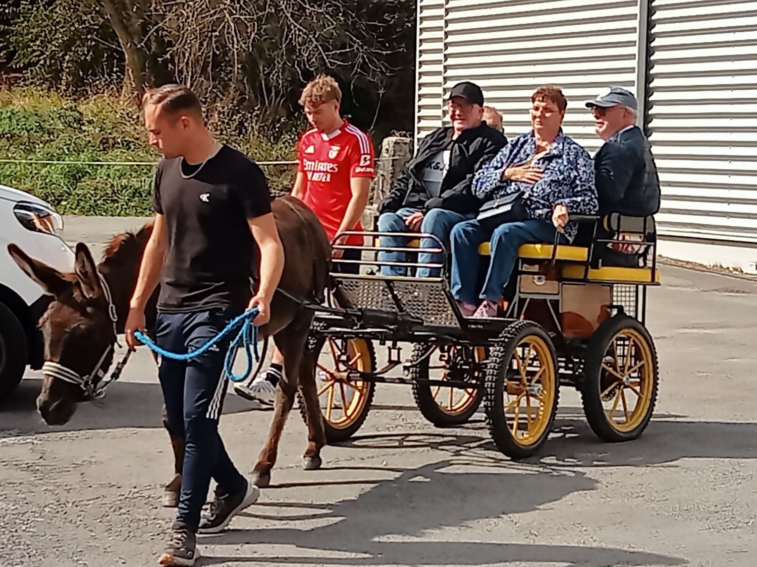 A la découverte des ânes à Warhem 