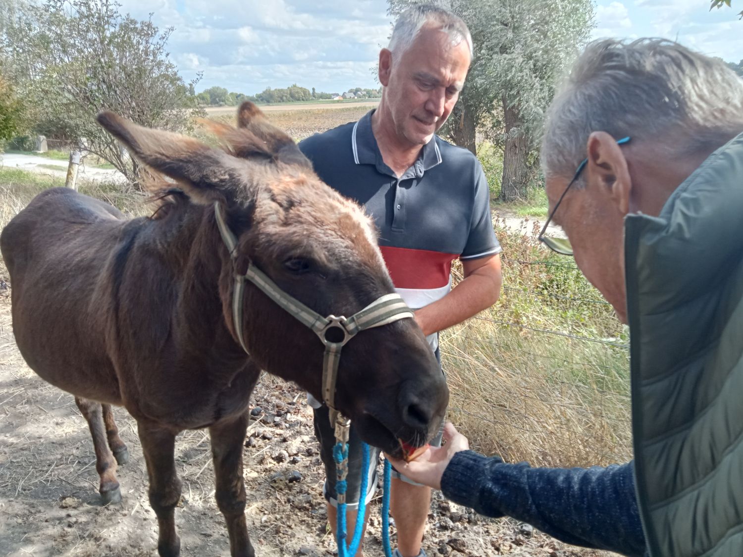 A la découverte des ânes à Warhem 