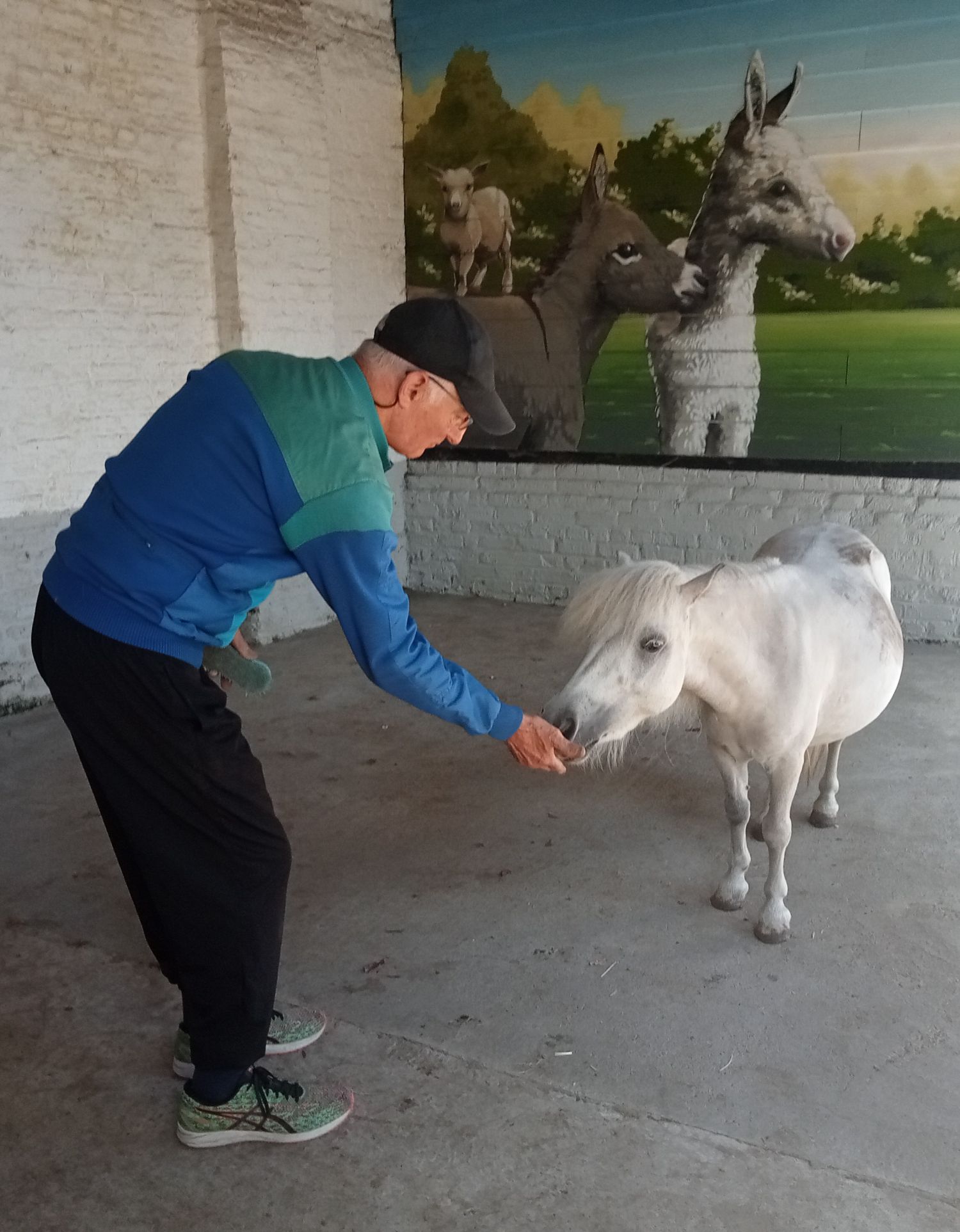 La petite fermette à Esquelbecq  