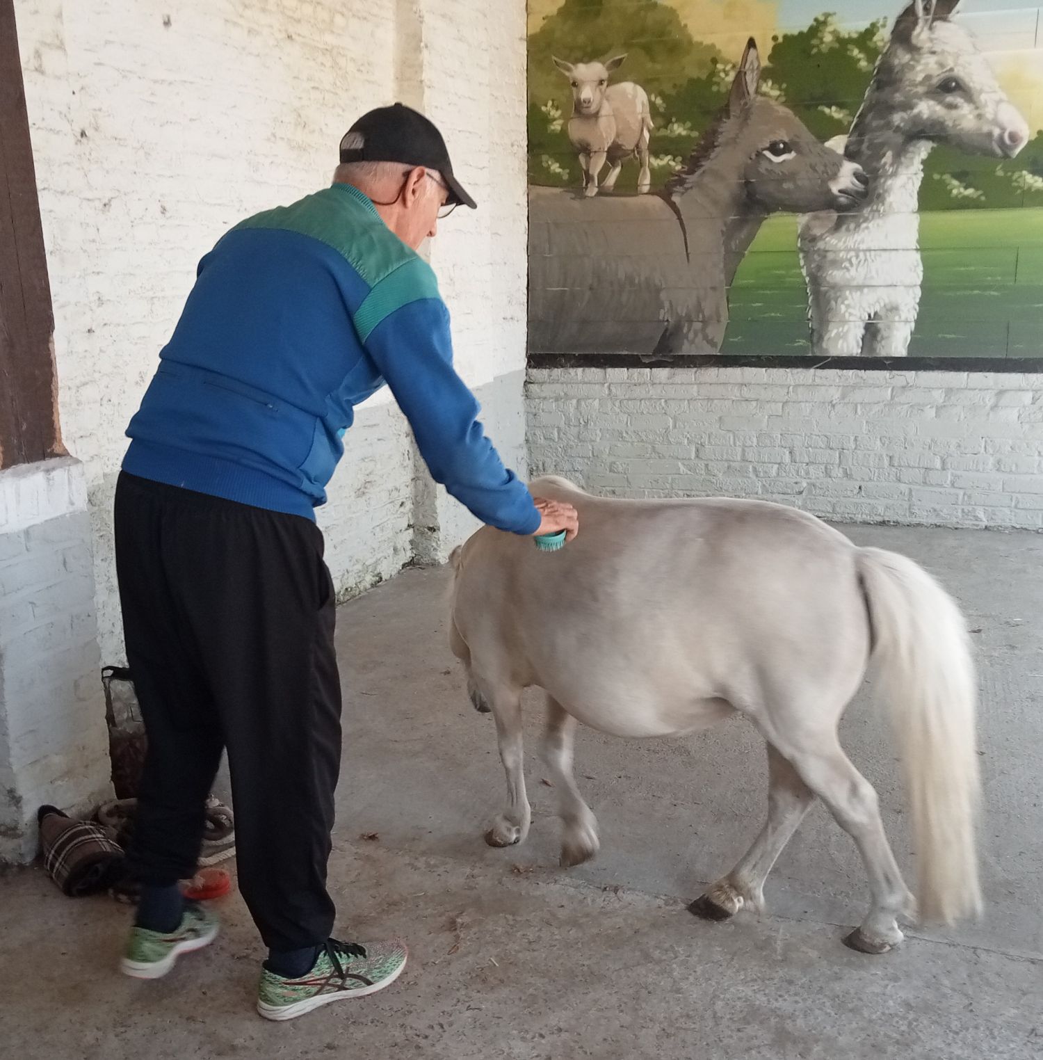 La petite fermette à Esquelbecq  