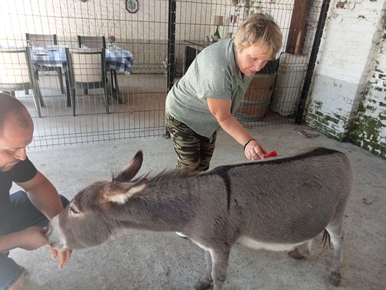 La petite fermette à Esquelbecq  
