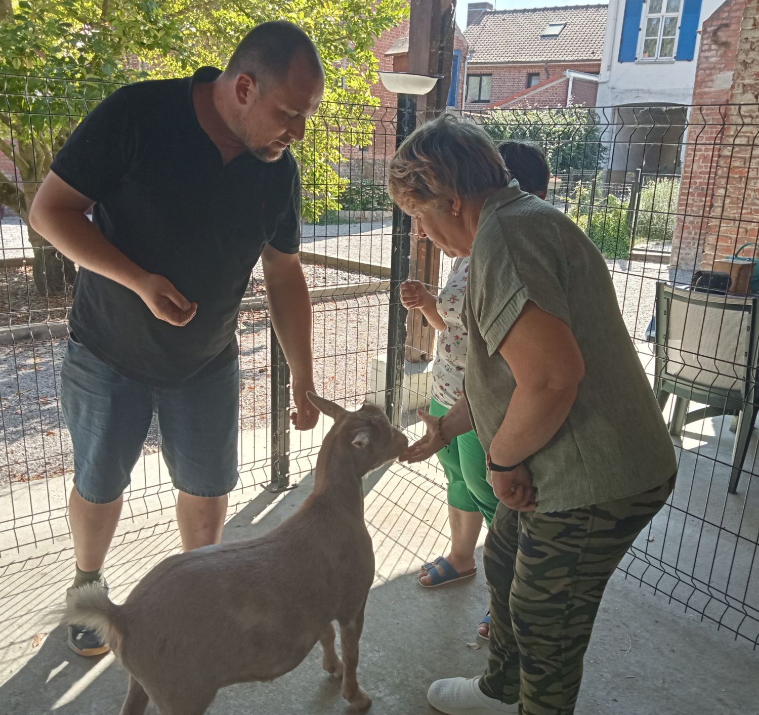 La petite fermette à Esquelbecq  