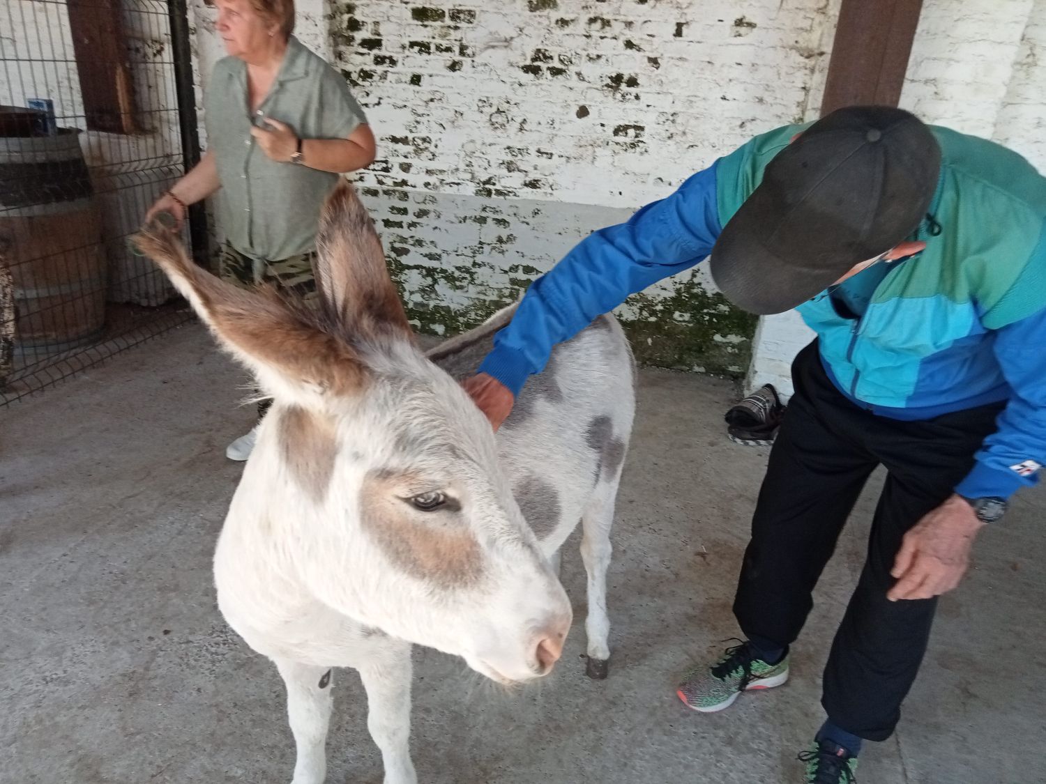 La petite fermette à Esquelbecq  