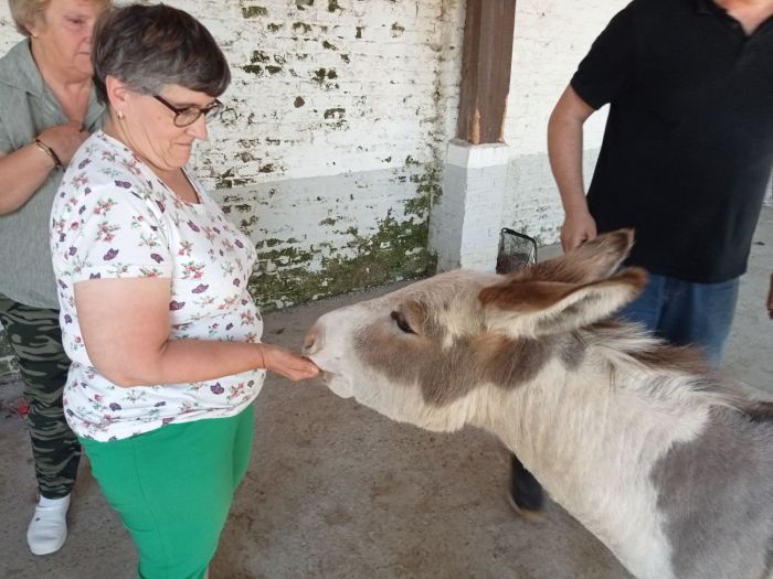 La petite fermette à Esquelbecq 